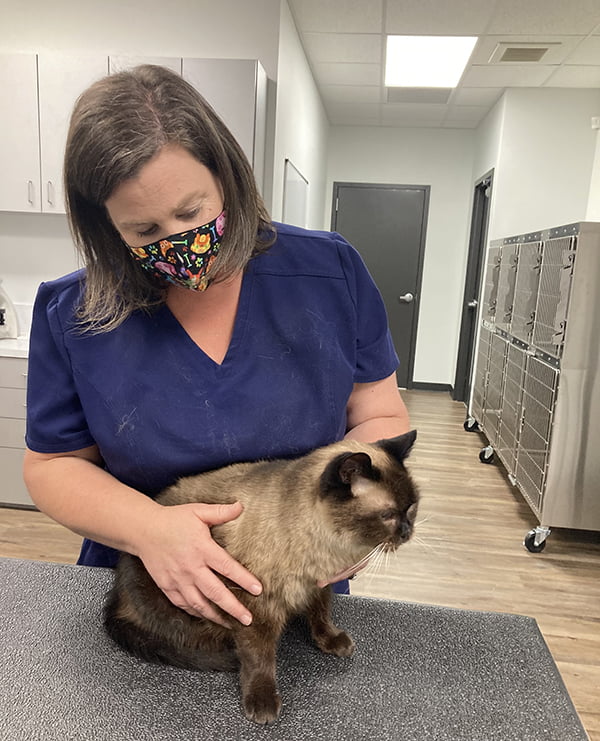 Emergency Vet Care Services in Auburn, AL Contact Us Today!