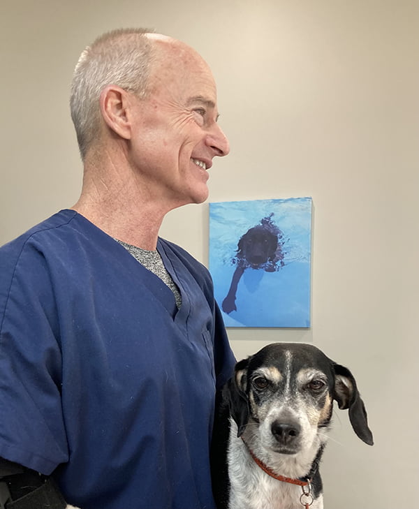 Pet Surgery in Auburn, AL